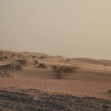 Commercial · SaleUnited Arab Emirates
