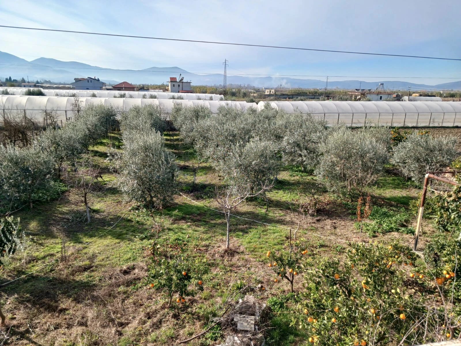 Investment property · SaleAlbania