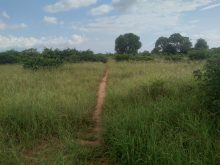 Land (farming) · SaleAngola