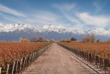 Agricultural · SaleArgentina