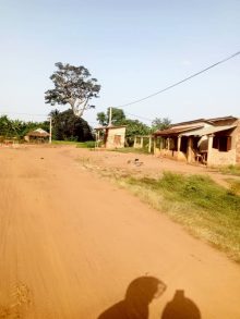 Land (building) · SaleBenin