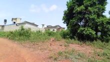 Land (building) · SaleBenin
