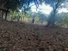 Land (farming) · SaleBotswana