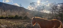 Land (farming) · SaleChile