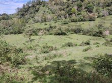 Land (building) · SaleColombia
