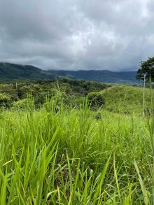 Land (building) · SaleCosta Rica