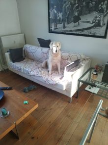 Apartment · RentDenmark