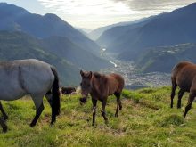 Ranch · SaleEcuador