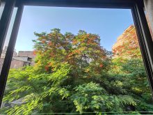 Apartment · SaleEgypt