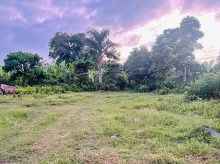 Land (building) · SaleHaiti