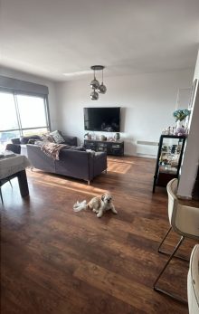 Duplex · SaleIsrael