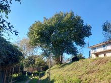 Cottage · SaleItaly