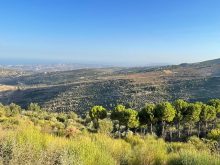Residential · SaleLebanon