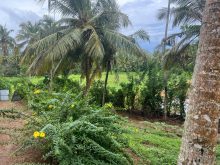Land (farming) · SaleSri Lanka