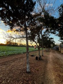 Agricultural · SaleMorocco
