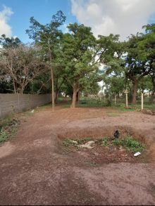 Land (farming) · SaleMali
