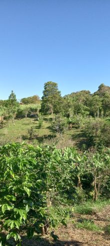 Land (building) · SalePanama