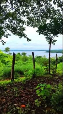 Agricultural · SalePanama