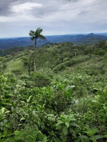 Land (farming) · SalePanama