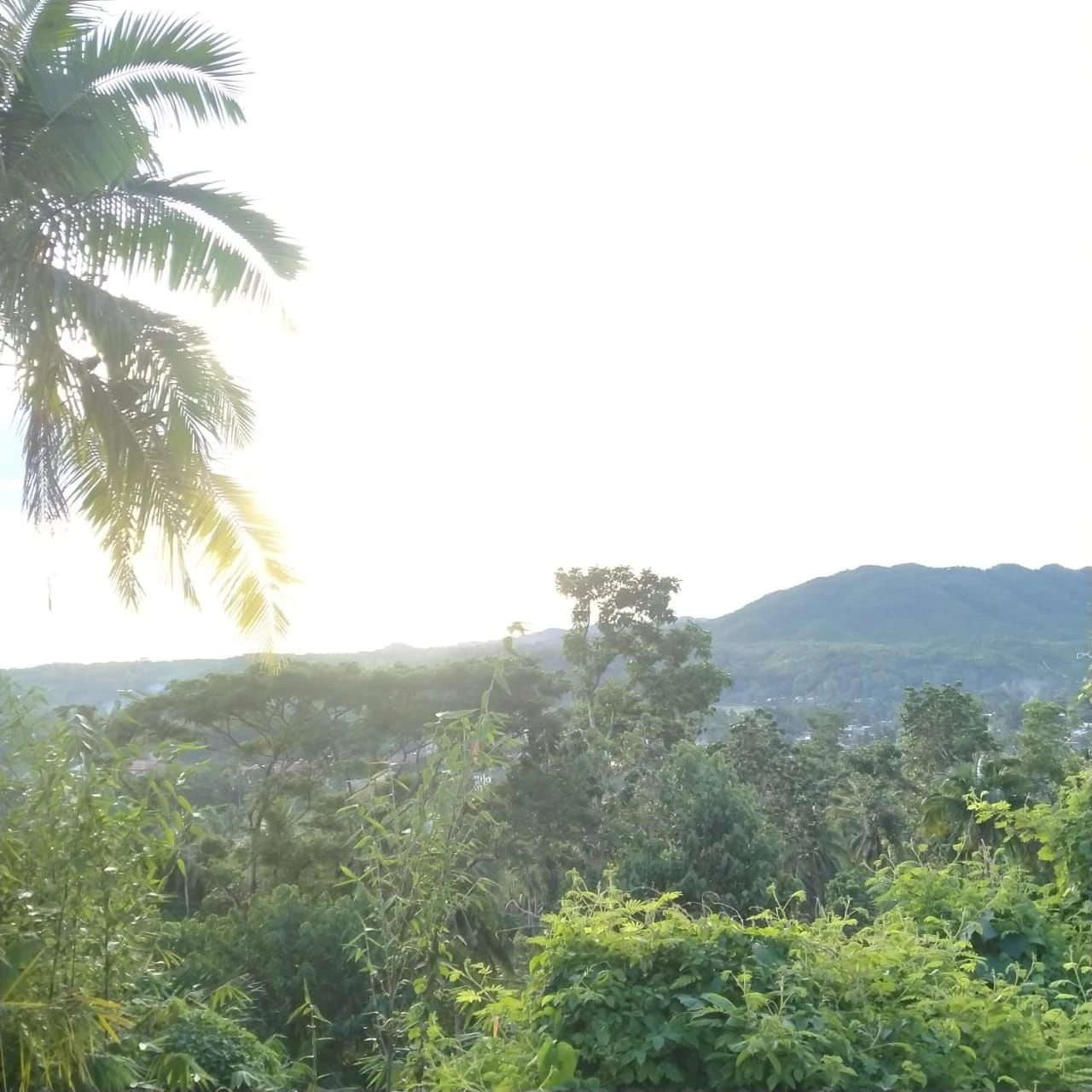Land (building) · SalePhilippines