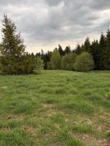 Land (building) · SalePoland