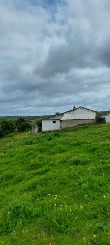 Cottage · SalePortugal
