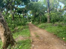 Land (farming) · SaleEl Salvador