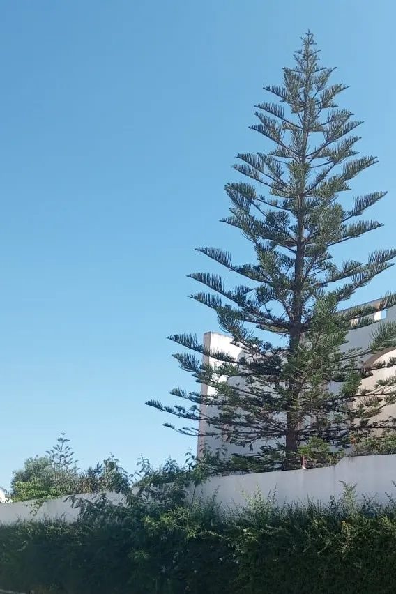 Villa · RentTunisia