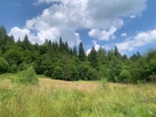 Agricultural · SaleUkraine