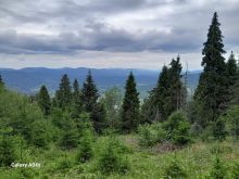 Landbruks · SalgUkraina