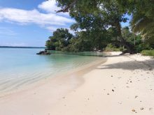 Hütte · VerkaufVanuatu
