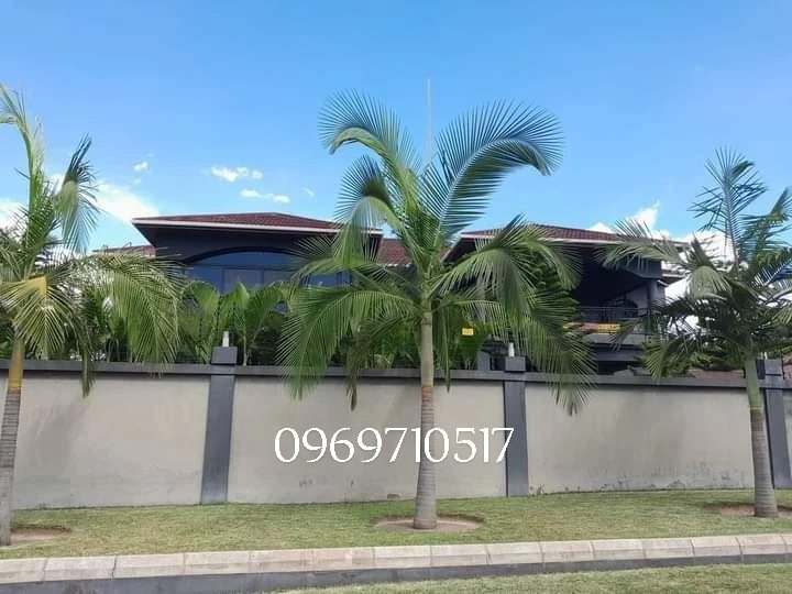 Residential · RentZambia